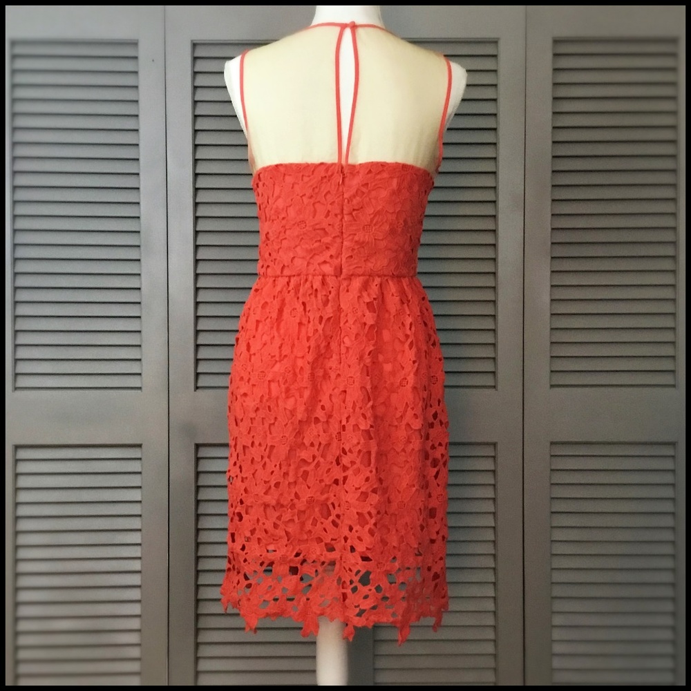 Darling Coral 'Sienna' Lace Dress - Picture 8 of 13